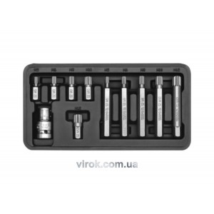 Набір насадок викруткових YATO : "SPLINE", L= 30, 75 мм, адаптер 1/2", металевий кейс. 11 шт [20]